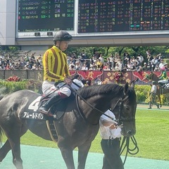 競馬仲間募集！ひとりで競馬もいいけどみんなで競馬もおもしろいですよ😃 - 杉並区