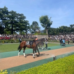 競馬仲間募集！5月18日東京競馬場に行きませんか？ヴィクト…