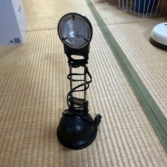 ライト