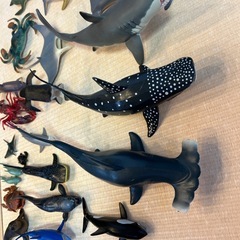 海の生き物シリーズセットの画像