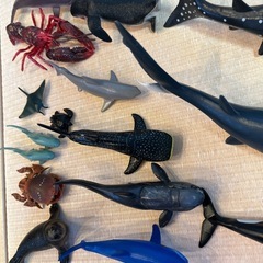 海の生き物シリーズセットの画像