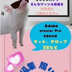 動画編集お安く賜ります