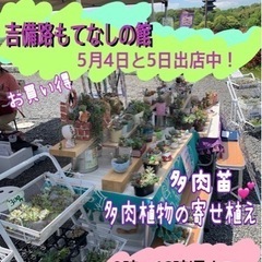 多肉植物寄せ植え、苗販売
