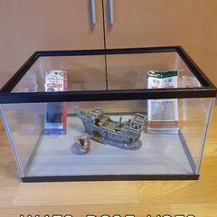 🉐おまけ付★GW特価‼️🐠🌿【鈴木製作所】ガラス水槽