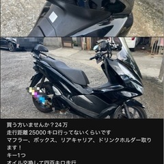 PCXの画像