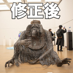 あなたの写真を編集（補正）します！の画像