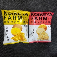 湖池屋 FARM ポテトチップス 2種セット