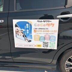 ペットタクシー　COCOタク　寝屋川店