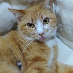 遊ぶの大好き❣️元気なころくん