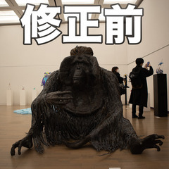 あなたの写真の編集や、補正を行います！