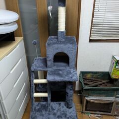 キャットタワー