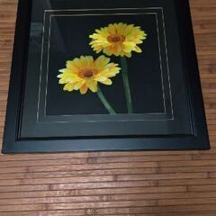 花（ガーベラ）　絵　額付きの画像