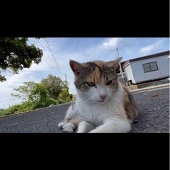 英語を学びたいです。初心者🔰