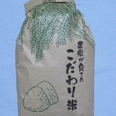 白米 2024年産 ★はれわたり★ 5㎏ お米