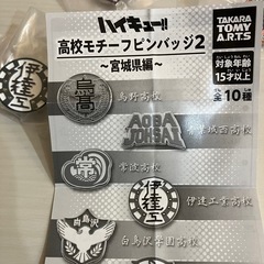ハイキュー　高校モチーフピンバッジ　伊達工