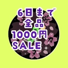 【五桜メダカ】 5月5日　6日まで全品1000円SALE　横須賀...