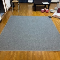 商談済ホットカーペットの画像