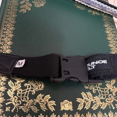 新品近い　DESCENTE 腰ベルトの画像