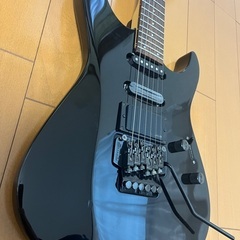 フェルナンデスFRの画像