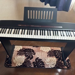 CASIO 電子ピアノ