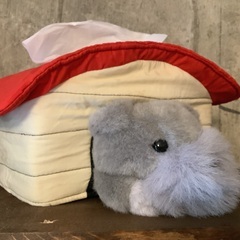 昭和レトロ　犬小屋型のティッシュボックス　ティッシュケース　シミ...