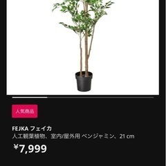 【総額 9500円】IKEA 観葉植物 (Fejka)＋鉢
