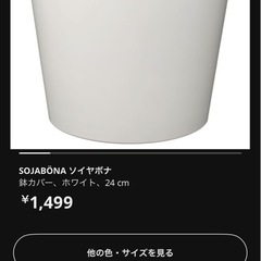 【総額 9500円】IKEA 観葉植物 (Fejka)＋鉢の画像