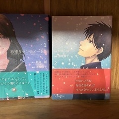 秒速５センチメートル