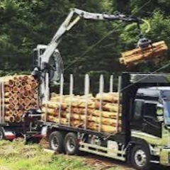 丸太譲渡致します。の画像