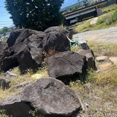 大きな庭石(搬出手段ある方引き取り希望です🙇‍♀️)　
