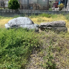 大きな庭石(搬出手段ある方引き取り希望です🙇‍♀️)　の画像