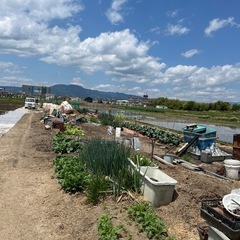 大将軍共同農園メンバー募集です - 大津市