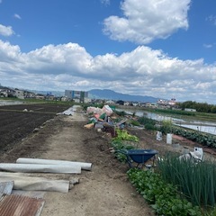 大将軍共同農園メンバー募集です - その他