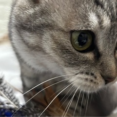 再投稿ブブちゃん − 長野県