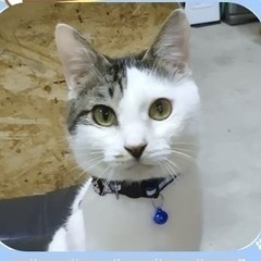 瀕死状態から復活したぽんちゃん