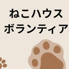 大きなタイヤ移動、力仕事。保護猫活動。