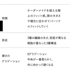 定価33,000円★美品★ブレインスリープ枕LOW（枕カバーなし・洗浄済・保管状態良好）の画像