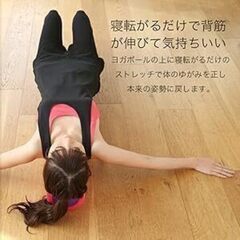 【未使用】ストレッチ用ポール エクササイズポールの画像
