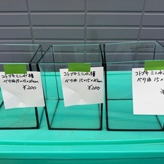 コトブキ ミニ水槽ベタ飼育用
