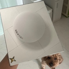 フレーム無し鏡