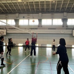 社会人バレー - スポーツ