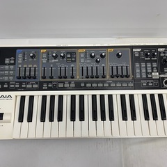 Roland ローランド GAIA SH-01 アナログモデリングシンセサイザーの画像