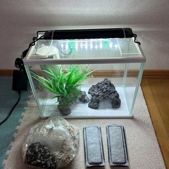 メダカ飼育セット①