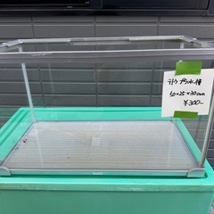 テトラプラ水槽