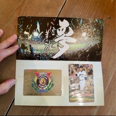 阪神タイガース 2003年 チャンピオン記念セットの画像