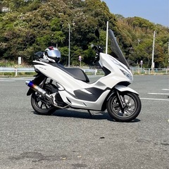 自分はワンツースクーターです