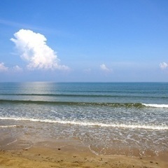 海を見に行きませんか？🌊