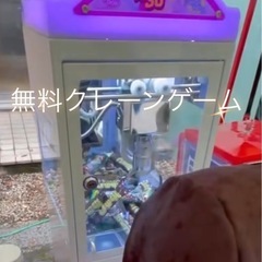めだか掬い出店　ハコニワ - 柏崎市