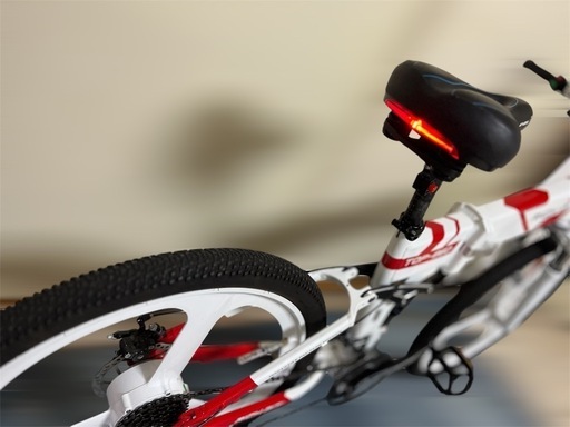 電動バイク．電動自転車．ひねちゃん．モペット．電動アシスト
