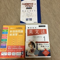 大学受験 問題集 英文法 現代文